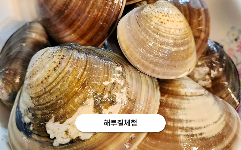 test주문도바다 갤러리 2