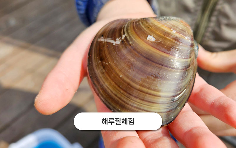 test주문도바다 갤러리 46