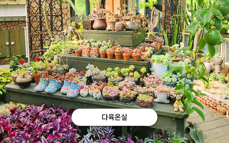 test주문도바다 갤러리 28