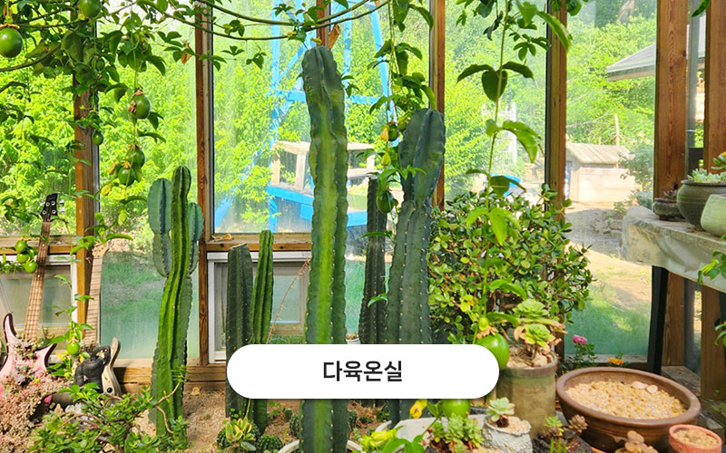 test주문도바다 갤러리 27