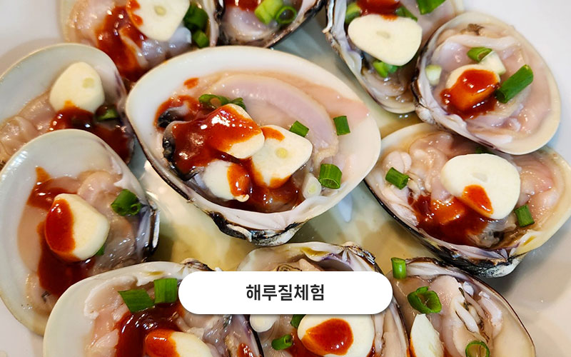 test주문도바다 갤러리 1