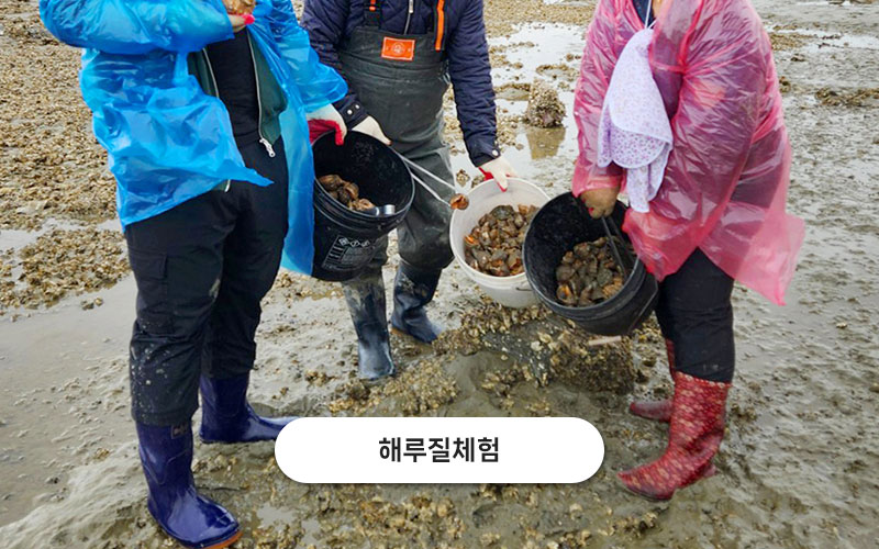 test주문도바다 갤러리 45