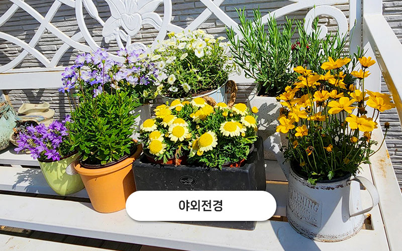 test주문도바다 갤러리 39