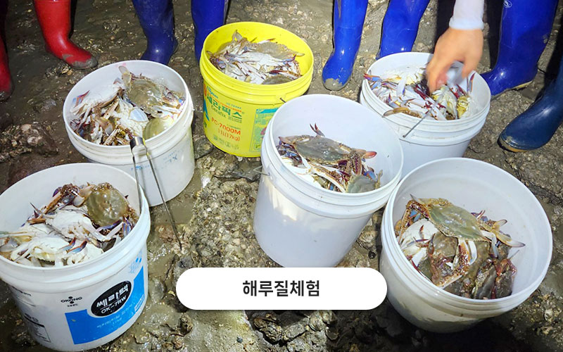 test주문도바다 갤러리 47