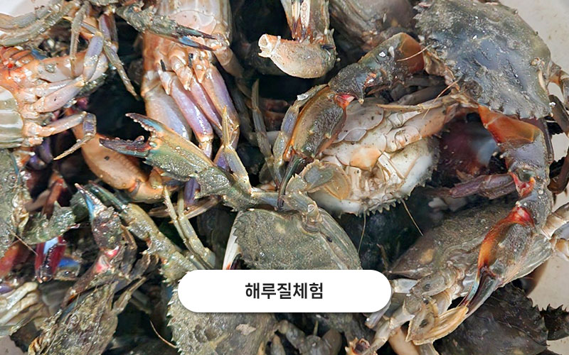 test주문도바다 갤러리 3