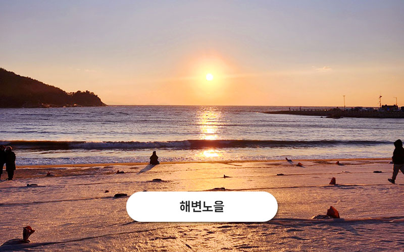 test주문도바다 갤러리 8