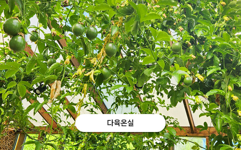 test주문도바다 갤러리 29