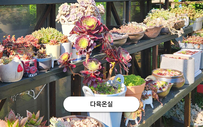 test주문도바다 갤러리 26