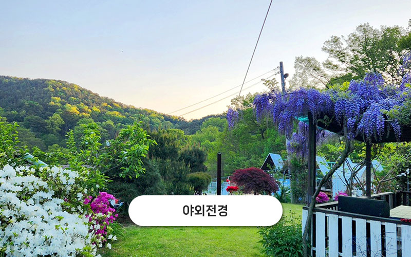 test주문도바다 갤러리 41