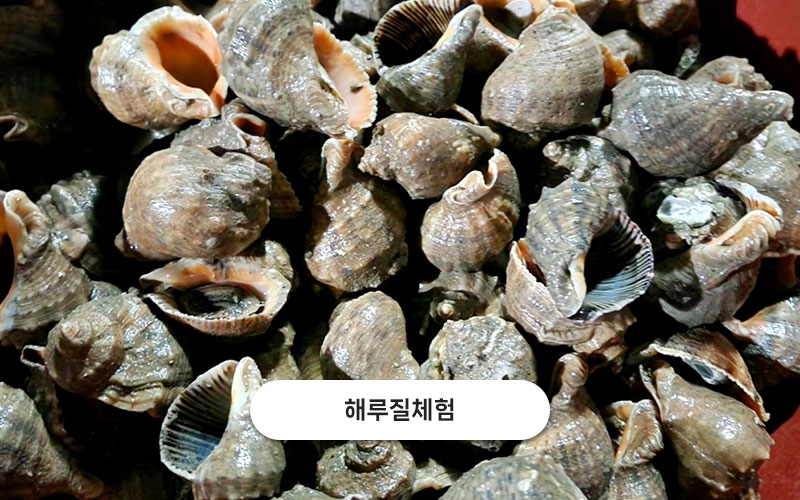 test주문도바다 갤러리 49